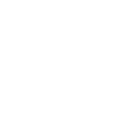 software-card